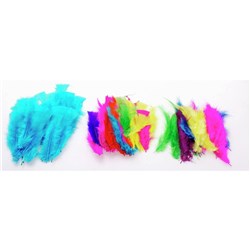 Jasart Feathers Large 30gm Assorted